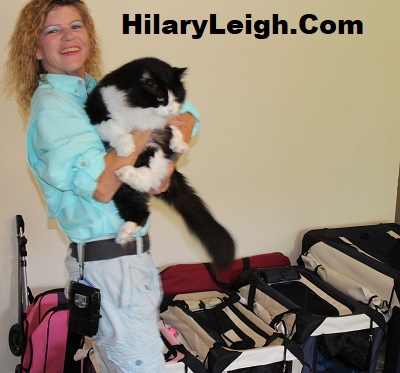 HilaryLeigh.Com Psychic With Maine Coon Cat Psychics Cats Help With Readings *grin*